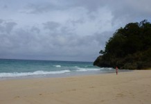P1000630