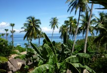 Vue du bungalow