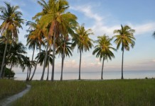Balade dans l'intérieur de l'île