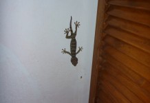 Gros copain dans la salle de bain