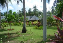 Arrivée au resort de Donsol