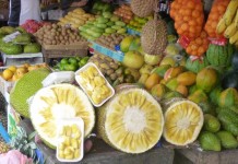 Durians sur le chemin du retour