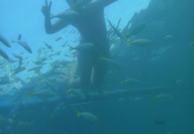 Comme un poisson dans l'eau