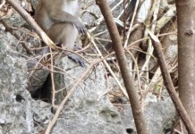 Rencontre locale