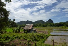 Rizières de Busuanga