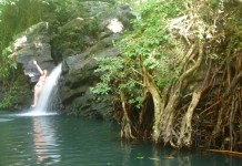 Waterfalls